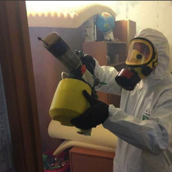 Уничтожение клопов в квартире. Нефтеюганск
